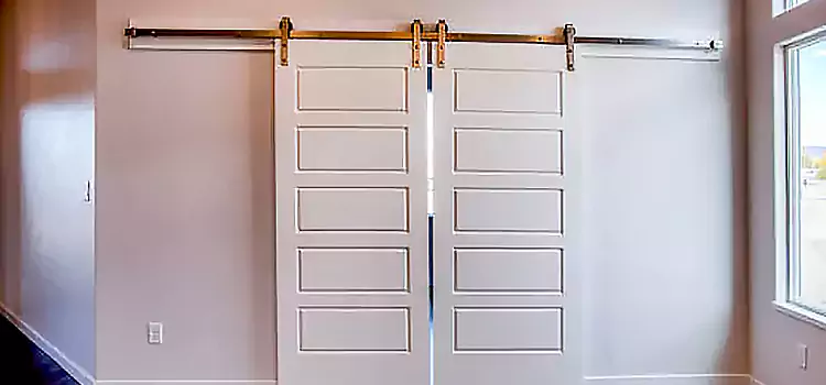 Glass Barn Door with Installation Hardware Kit Perris