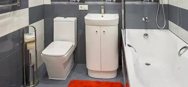 Hansgrohe Shaving Mirror Perris